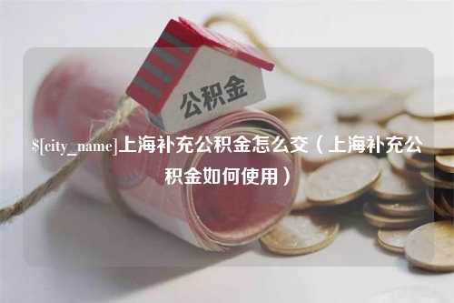 鄂州上海补充公积金怎么交（上海补充公积金如何使用）